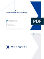 HYPOL II - PP - Process