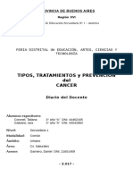 Diario Del Docente