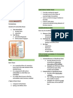 Alveolar Bone