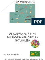 Ecología Microbiana - Tema 9 - 2019