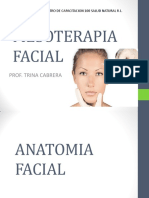 Mesoterapia Facial 222