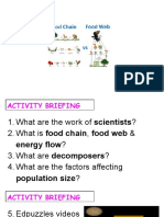 9.7 Food Chain, Web, Decomposers & Population Size