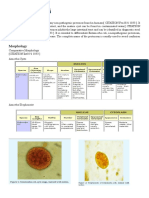 Entamoeba Coli: Background