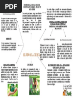 El Niño y La Ciencia - Grupo 1