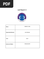 Lab Report 3: Hamad Ul Haq