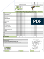 PHS-PG-07-FO17 Inspeccion de Canguro V2 JUL 2019