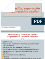 Renovación, Reparación y Regeneración Tisular