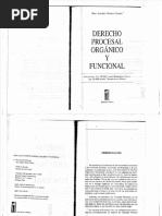 Derecho Procesal Organico Eric Chavezpdf