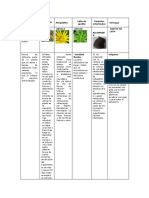 Plantas Medicinales