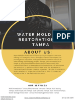 Water Mold Fire Restoration of Tampa