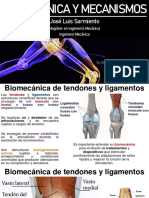 9 Biomecánica de Tendones y Ligamentos-1