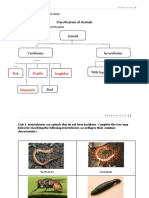 1.2 Classification of Animals (Students Copy)