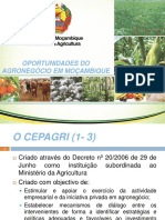 ApresentacaoAbcMocambiqueAgronegocio CEPAGRI