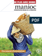 Produire Plus Avec Le Manioc