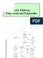 Acetic Pathway: Fatty Acids and Polyketides