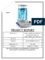 Project Report