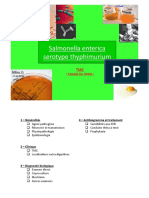 Salmonella Enterica