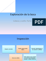 Exploración de La Boca