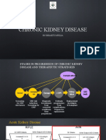 Chronic Kidney Disease Bhakti Mulia