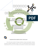 Deamination of Amino Acids - The Urea Cycle