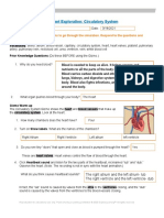 CirculatorySystemSE - Anthony Hernandez