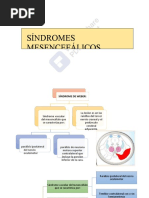 Sindromes Mesencefalicos EXPO