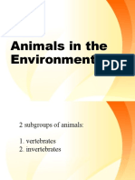 Animals in The Environment