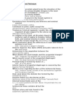 Anatomy Pelvis and Perineum