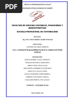 Actividad de Responsabilidad Social de La Auditoria Del Medio Ambiente