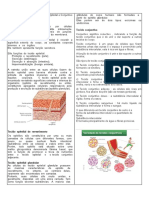 Atividade Ciências 8 Ano Tecidos