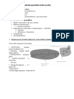 Farmaco Sem 2 Full