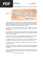 P2 Material de Apoyo - Revisoría Fiscal