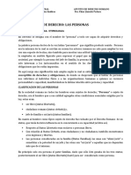 Tema 4 El Sujeto Del Derecho Las Personas