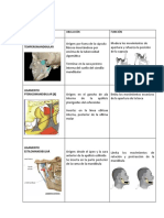 Cuadro de Ligamentos