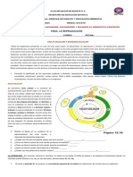 Guia 8° N°3 Primer Periodo Ciencias