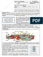 P1. Once. Guía 2. Transporte de Membrana.