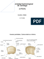 Cabeza y Cuello Utesa