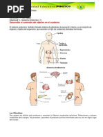 Ciencias Naturales 8vo Grado3er Lapso