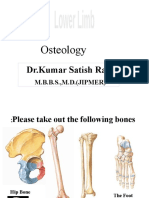 1 Lower Limb BONES