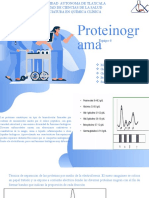 Proteinograma Analisis Clinicos