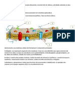 Taller de Repaso de 10 - Periodo 2021