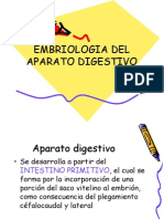 A81 Embriologia Del Aparato Digestivo