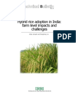 Hybrid Rice Adoption in India: Farm Level Impacts and Challenges (TB 14)