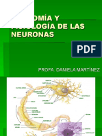 Anatomia y Fisiologia de Las Neuronas