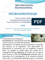 Clase 9 Neuroaprendizaje