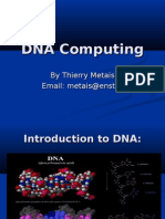 DNA Computing