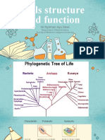 Bm01 - Structure and Function - 2020