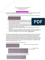 Práctica Producción, Costos, Beneficios - Radelis Sánchez Pujols