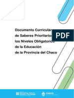 Documento Curricular Saberes Prioritarios - (Res 924) MECCyT 2021