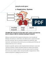 Respiratory System Practice